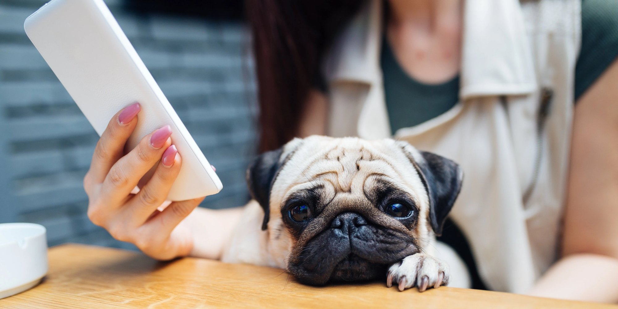 Optimizing the OMNI in Omnichannel with Mars Petcare