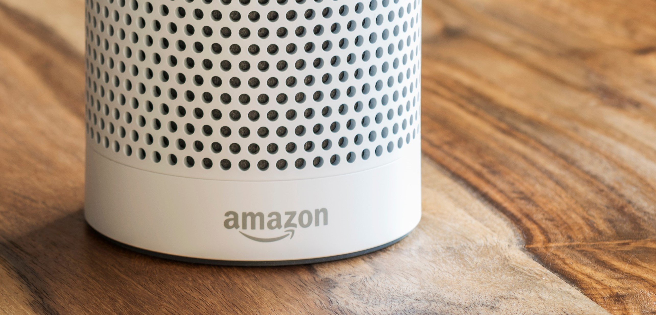 Amazon Echo crop